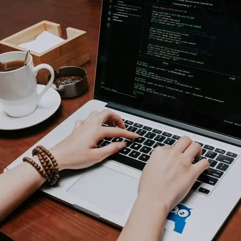 Drupal Web Development